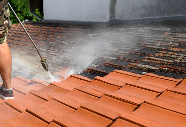 Best Best Pressure Washing Companies  in Vinton, LA