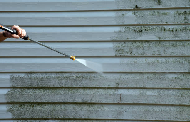 Best Pressure Washing Brick  in Vinton, LA